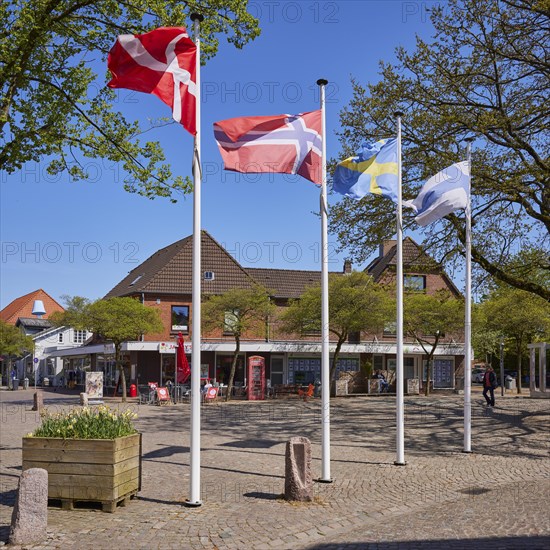 Scandinavian flags on the town hall square in Niebuell, Nordfriesland district, Schleswig-Holstein, Germany, Europe