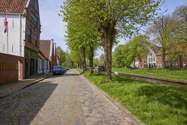 Cobbled street with trees and houses along the Mittelburggraben in Friedrichstadt, Nordfriesland district, Schleswig-Holstein, Germany, Europe