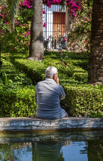Senior citizen sitting by a pond in a beautiful park, Bornos, Andalusia, Spain, Europe