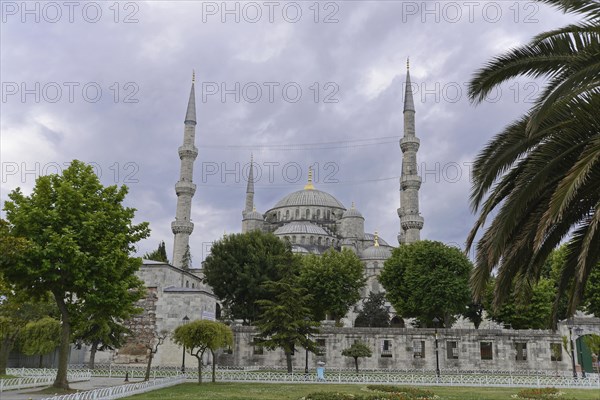 The Sultan Ahmet Mosque on a cloudy day, surrounded by palm trees, Istanbul, Istanbul Province, Turkey, Asia