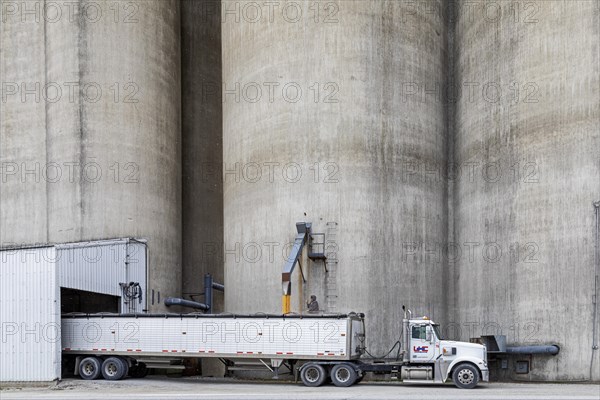 Webster City, Iowa, A truck driver loads corn from grain elevators