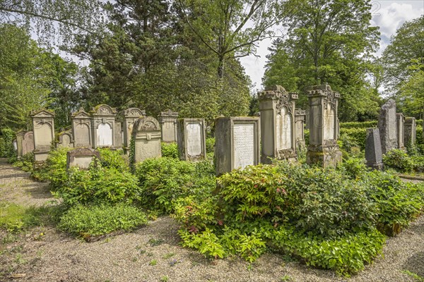 Gravestones, Jewish cemetery, Waldbachfriedhof, Offenburg, Baden-Wuerttemberg, Germany, Europe