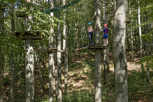 Woman and boy climbing in the climbing forest, platforms, ropes, rope ladders, suspension bridges, beech trees, beech forest, family outing, Hoherodskopf summit, Tertiary volcano, Schotten, Vogelsberg Volcanic Region nature park Park, Hesse, Germany, Europe