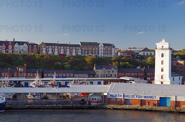 Residential houses, lighthouse and old warehouses at the harbour of Tynemouth, ferry trip Amsterdam to Newcastle, England, Great Britain
