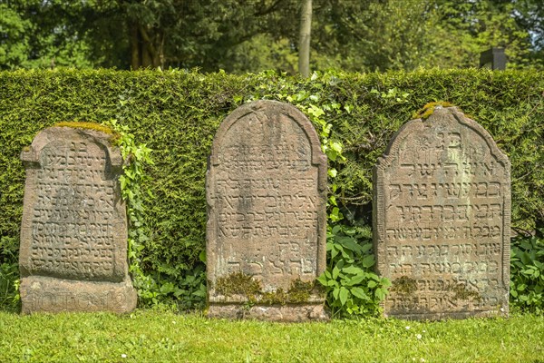 Gravestones, Jewish cemetery, Waldbachfriedhof, Offenburg, Baden-Wuerttemberg, Germany, Europe