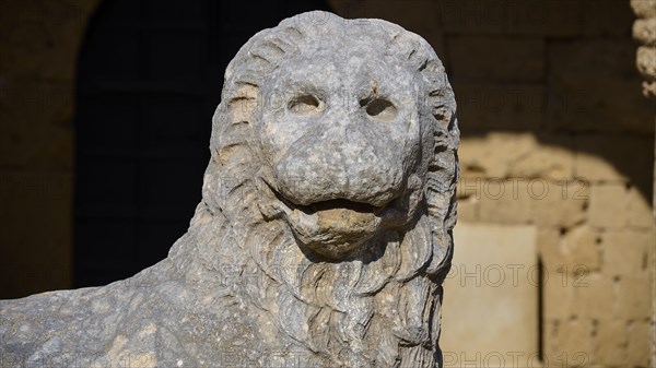 Close-up of a stone lion statue with detailed facial expression, outdoor area, Archaeological Museum, Old Town, Rhodes Town, Rhodes, Dodecanese, Greek Islands, Greece, Europe