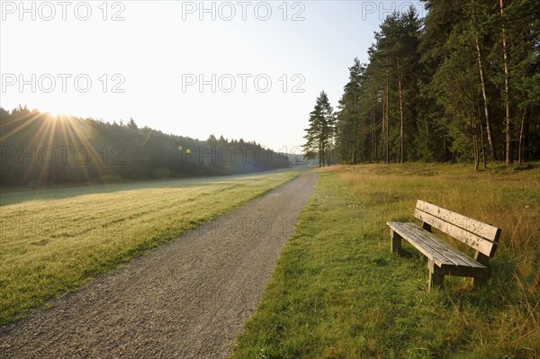 Landscape of a little trail going through a valley in early morning in summer, Bavaria, Germany, Europe