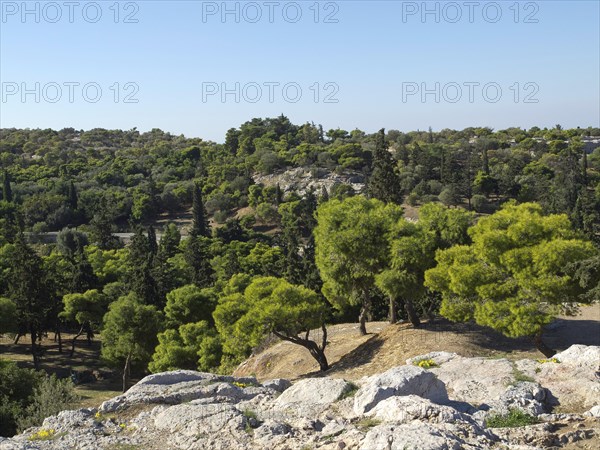 Expansive forest landscape with green trees and rocks under a clear sky, Ancient buildings with columns and trees on the Acropolis in Athens against a blue sky, athens, greece