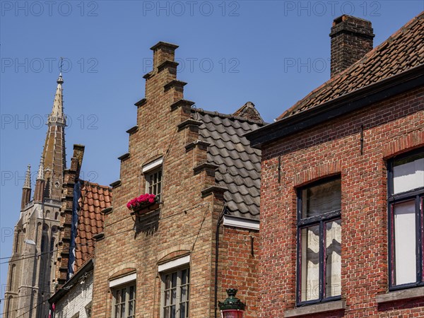 Row of historic brick houses with windows and a large church tower, historic house facades in a medieval town by the river, Bruges, Belgium, Europe