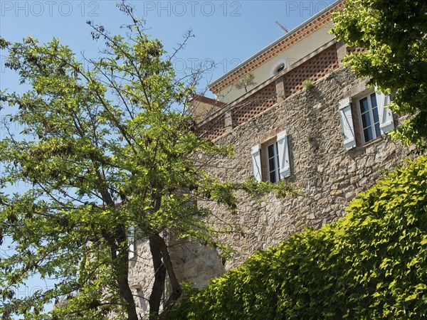 A light-coloured stone house with green trees and shutters under a blue sky, with climbing plants on the wall, historic stone houses overgrown with greenery in Provence, Le Castellet, France, Europe