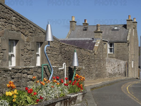 Blooming flowers in planters decorate a quiet street in an old town with brick houses on a sunny day, grey houses with colourful flags in a seaside town, lerwick, Scotland, United Kingdom, Europe
