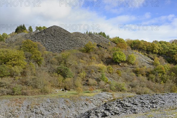 View over slate slopes with autumnal deciduous trees and conifers, blue cloudy sky, Eastern Eifel, Rhineland-Palatinate, Germany, Europe