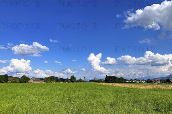 Vast green fields under a bright blue sky with many clouds, idyllic summer landscape, Sempach, Lucerne, Switzerland, Europe
