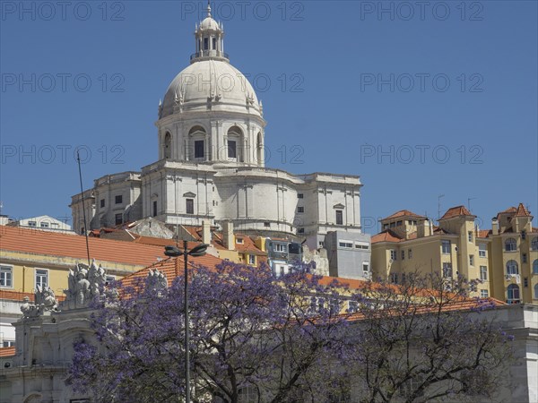 Impressive building with a large dome and purple blossoming trees in the foreground under a blue sky, Lisbon, Portugal, Europe