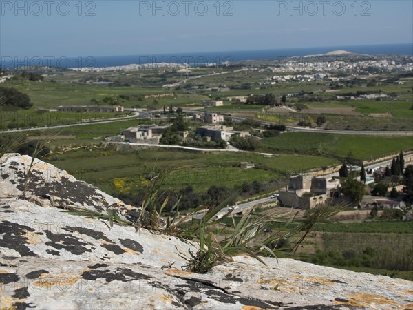 Landscape with hills, fields, individual buildings and the sea in the background, the town of mdina on the island of malta with historic houses, colourful balconies, magnificent churches, mdina, Malta, Europe