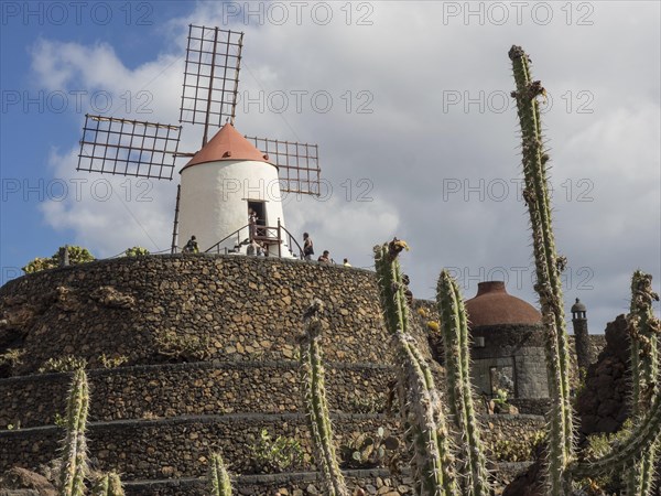 Historic windmill on a rocky hill with cacti in the foreground under a blue sky, Lanzarote, Spain, Europe