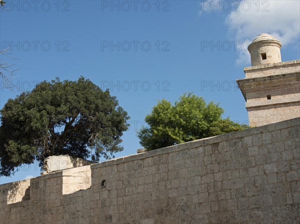 Old stone wall with trees growing on it and a tower in the background under a blue sky, the town of mdina on the island of malta with historic houses, colourful balconies, magnificent churches, mdina, Malta, Europe