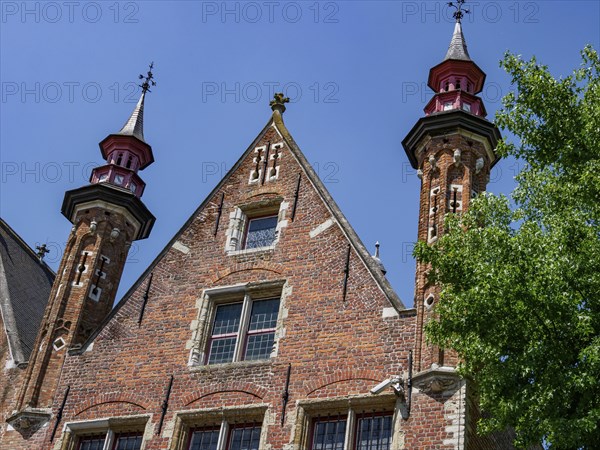 Buildings with red bricks, towers and pointed roofs and a tree in the foreground, historic houses and churches with towers on a river in Belgium, Bruges, Belgium, Europe