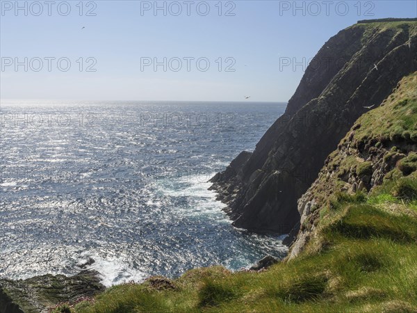 Sea view with high cliffs and bright blue sky, green fields on the rugged seashore with blue water, rocks and old houses, lerwick, Scotland, United Kingdom, Europe