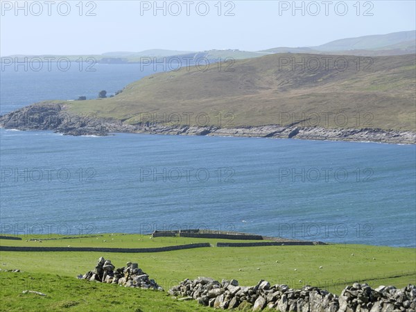Coastal landscape with blue sea, green fields and hills in the background, green fields on the rugged seashore with blue water, rocks and old houses, lerwick, Scotland, Great Britain