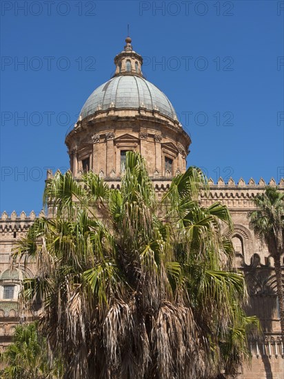 Cathedral with a large dome and palm trees in front of it under a blue sky, palermo in sicily with an impressive cathedral, monuments and old houses with balconies, palm trees and flowers in italy, palermo, sicily