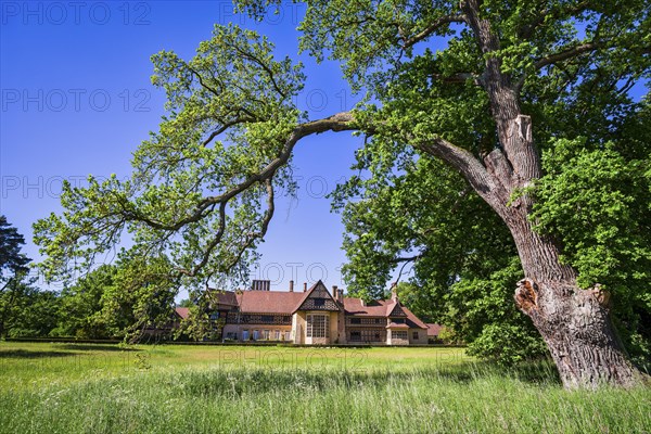 Cecilienhof Palace, New Garden, Potsdam, Brandenburg, Germany, Europe