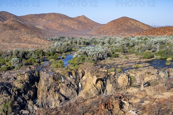 Kunene River with green vegetation in dry red mountain landscape, waterfall and African Baobab (Adansonia digitata), in the evening light, Epupa Falls, Kunene, Namibia, Africa