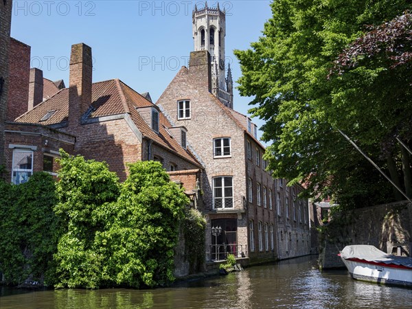 The banks of a town with brick buildings, a tower and abundant vegetation in sunny weather, historic house facades in a medieval town on the river, Bruges, Belgium, Europe