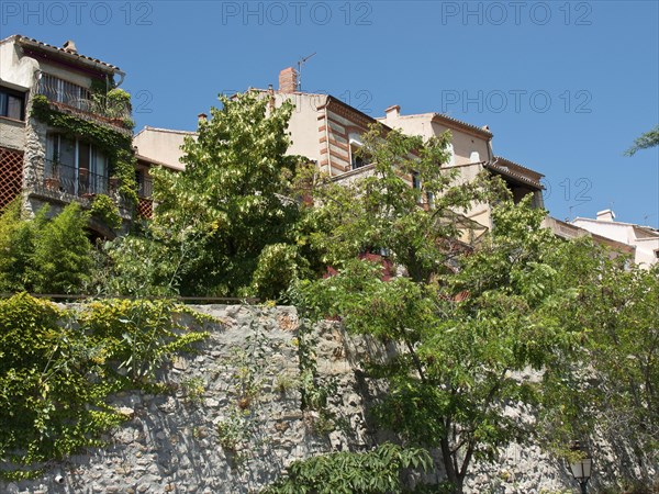 Several Mediterranean houses, surrounded by lush vegetation, under a clear blue sky, Provence, le Castellet, France, Europe