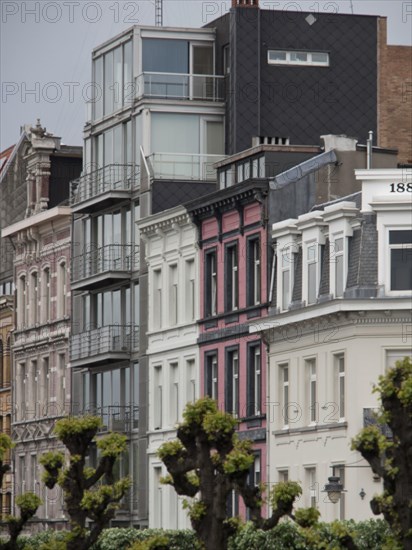 Terraced houses in different styles and colours with modern elements and trimmed trees in front, historical buildings on the market square in Antwerp, Antwerp, Belgium, Europe