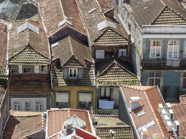 View of a cluster of red tiled roofs of the old town, conveying a bustling and authentic urban atmosphere, old town with historic houses and red roofs in poertugal, porto, portugal