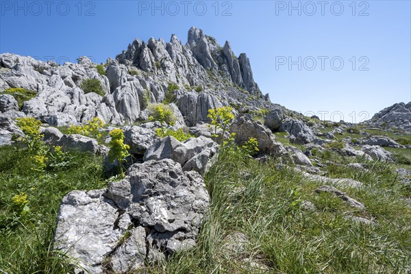 Velebit Mountains in Paklenica National Park, Zadar, Dalmatia, Croatia, Europe