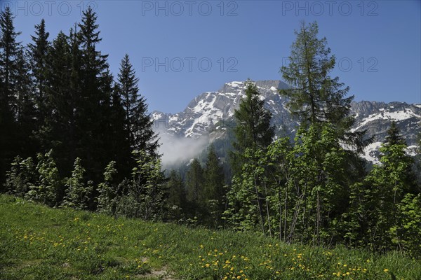 Rossfeld-Hoehenstrasse, view of Hoher Goell, Berchtesgaden, Bavaria, Germany, Europe