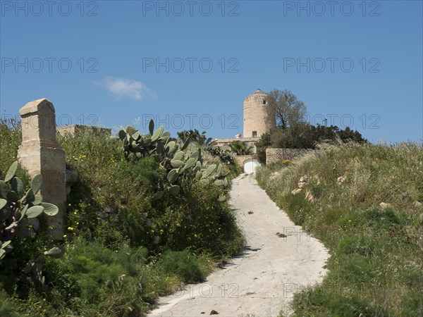 A medieval tower on a hill flanked by cacti and a rural path on a clear day, the island of Gozo with historic houses, colourful balconies, magnificent churches and boats in the harbour, Gozo, Malta, Europe