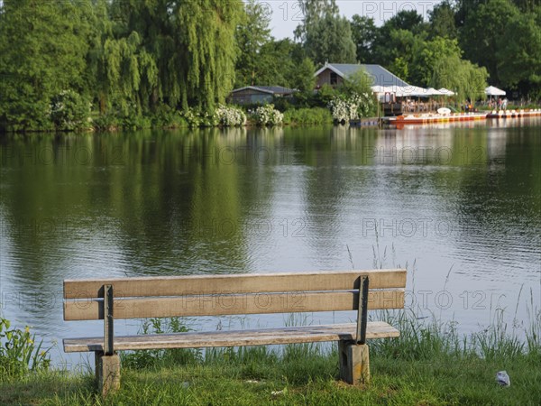 A bench on the lakeshore with a view of calm reflecting water and trees, small lake with tree growth and green plants on the shore, borken, germany