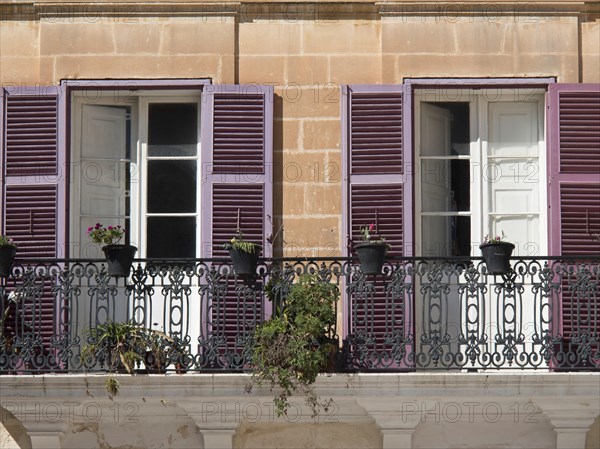 A mediterranean balcony with purple shutters and potted plants in front of two open windows, the town of mdina on the island of malta with historic houses, colourful balconies, magnificent churches, mdina, Malta, Europe
