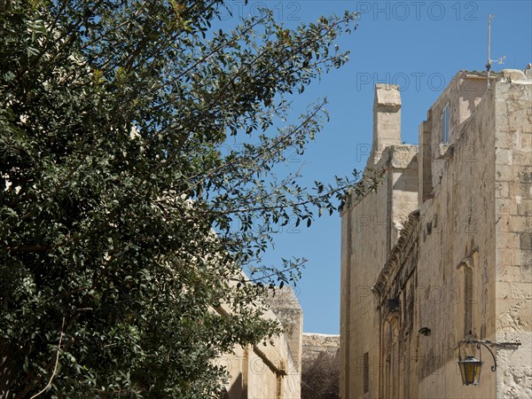 Historic street view with old buildings, stone walls and overgrown vegetation under a blue sky, the town of mdina on the island of malta with historic houses, colourful balconies, magnificent churches, mdina, Malta, Europe