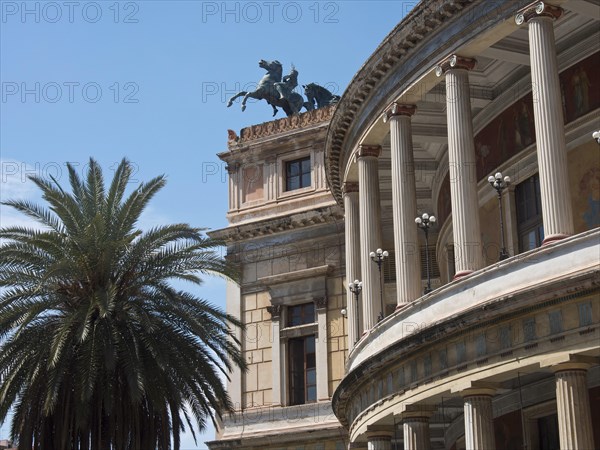 A huge palm tree next to a magnificent historic building with columns and sculptures, palermo in sicily with an impressive cathedral, monuments and old houses with balconies, palms and flowers in italy, palermo, sicily