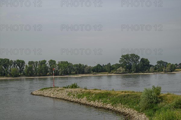 River with a small, vegetation-rich bank, lined with trees, cloudy sky, calm atmosphere, the promenade of Rees on the Rhine with green trees in spring, Rees, Germany, Europe