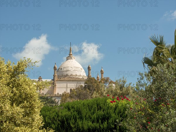 A light beige architectural-style dome rises among trees and flowers under a blue sky, Tunis in Africa with ruins from Roman times, modern mosques and blue and white houses in sidi-bou-said, Tunis, Tunisia, Africa