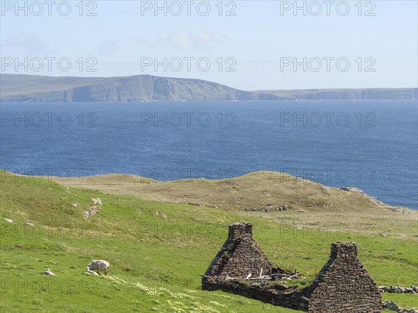 Ruins of an old building on green hills overlooking the blue sea and distant cliffs under a clear sky, green fields on the rugged seashore with blue water, rocks and old houses, lerwick, Scotland, United Kingdom, Europe
