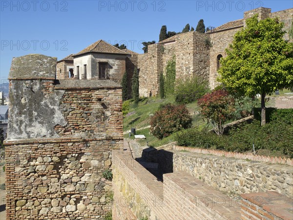 View of historic buildings and brick walls in sunny weather, The city of Malaga on the Mediterranean Sea with the historic fortress and palm trees, Malaga, Spain, Europe