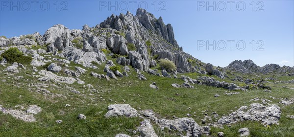 Velebit Mountains in Paklenica National Park, Zadar, Dalmatia, Croatia, Europe