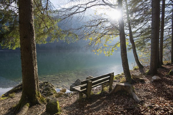 Landscape of a sitting accommodation beside a lake (Langbathsee) in autumn, Austria, Europe