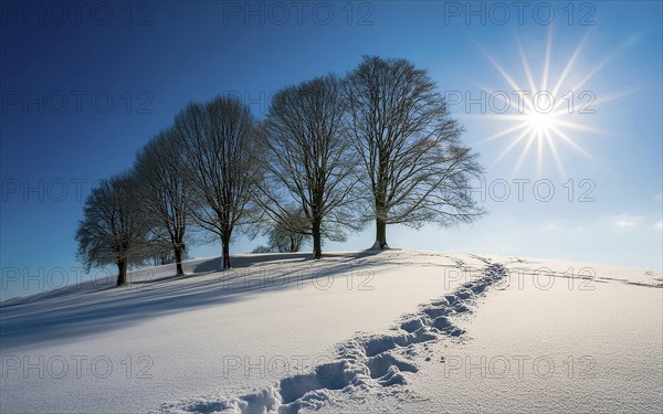 Footprints in fresh snow on a hill with a row of trees in winter, backlight, AI generated, AI generated