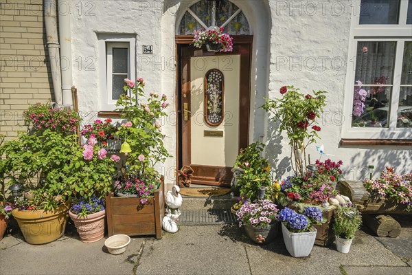 Flower decoration in front of an old town house, Hartengrube, Luebeck, Schleswig-Holstein, Germany, Europe