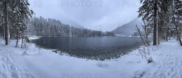 Snowfall at Spitzingsee, Bavaria, Germany, Europe