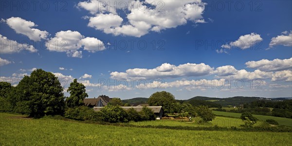 Hilly landscape with farm, blue sky and clouds, Wetter (Ruhr), Ruhr area, North Rhine-Westphalia, Germany, Europe