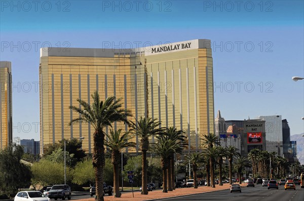 Las Vegas, Nevada, USA, North America, A street with several cars and the Mandalay Bay Hotel and palm trees at the edge, Las Vegas Strip, North America