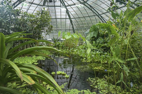 Viktoriahaus, Botanical Garden of the University, Spalengraben, Basel, Switzerland, Europe